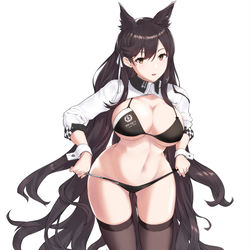 This is a pixiv picture whose title is 愛宕RQ.