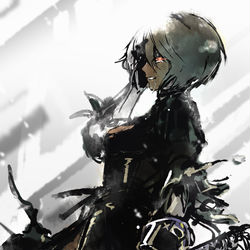 This is a pixiv picture whose title is 2B9Sの漫画纏め.