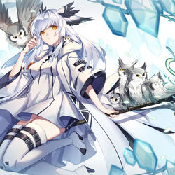 This is a pixiv picture whose title is 白面鸮.