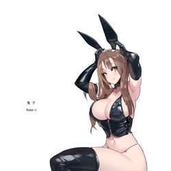 This is a pixiv picture whose title is 兔子.