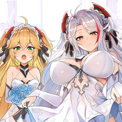 This is a pixiv picture whose title is 姉妹嫁.