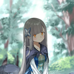 This is a pixiv picture whose title is 影の英雄の日常譚2巻告知絵.