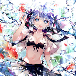 This is a pixiv picture whose title is ボトルミク.