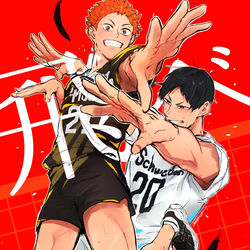 This is a pixiv picture whose title is 飛べ.