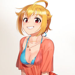 This is a pixiv picture whose title is 翼の水着.
