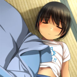 This is a pixiv picture whose title is 今日の一枚2602 (1:10+0:30+0:40).