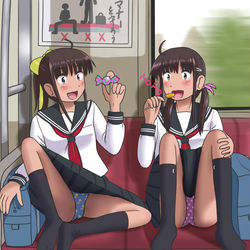 This is a pixiv picture whose title is 電車内風景.