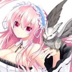 This is a pixiv picture whose title is パーシュース.
