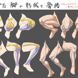This is a pixiv picture whose title is 曲げた脚の形状と骨格のランドマーク.