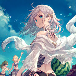 This is a pixiv picture whose title is 夏の遊び.