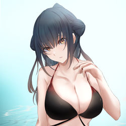This is a pixiv picture whose title is 黒ビキニ　山神.