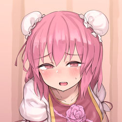 This is a pixiv picture whose title is 茨木華扇.
