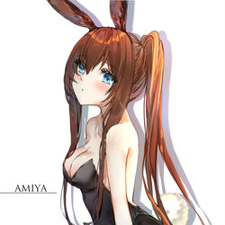 This is a pixiv picture whose title is アーミヤ.