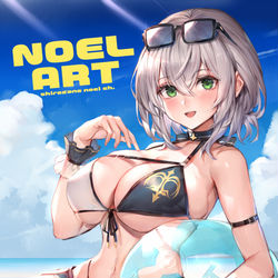 This is a pixiv picture whose title is 【ホロクル】団長本表紙絵.