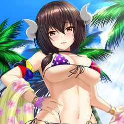 This is a pixiv picture whose title is 三笠大先輩　ビキニver.