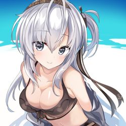 This is a pixiv picture whose title is 水着涼月.