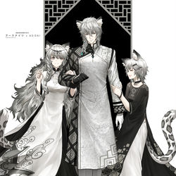 This is a pixiv picture whose title is Silver.
