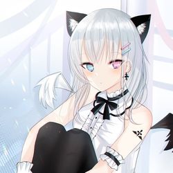 This is a pixiv picture whose title is 猫耳オッドアイちゃん.