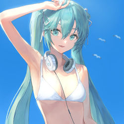 This is a pixiv picture whose title is Summer Miku.