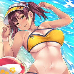 This is a pixiv picture whose title is 夏の海ではしゃぎすぎて….