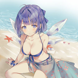 This is a pixiv picture whose title is チルノの隠された体つき....