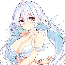 This is a pixiv picture whose title is 白髪白水着.