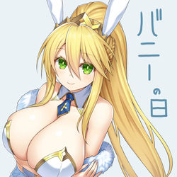This is a pixiv picture whose title is バニーの日.