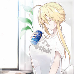 This is a pixiv picture whose title is Fate/stay home.
