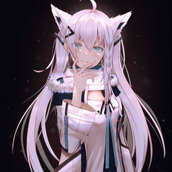 This is a pixiv picture whose title is 白上フブキ.