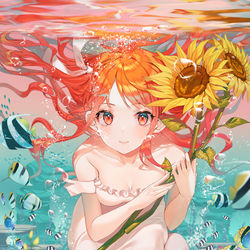 This is a pixiv picture whose title is ひまわり.