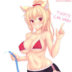 This is a pixiv picture whose title is Tiffy's Car wash!!.