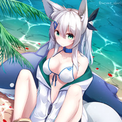 This is a pixiv picture whose title is 夏きつね.