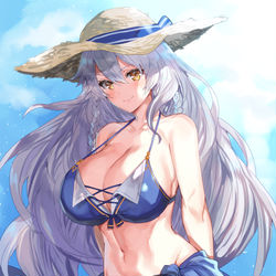 This is a pixiv picture whose title is 水着シルヴァさん.