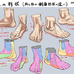 This is a pixiv picture whose title is 右足の形状　(内外の側面形状の違い).