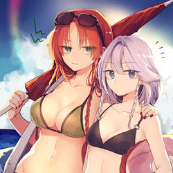 This is a pixiv picture whose title is 海で可愛い銀髪の女の子をナンパしようとした時の画像.
