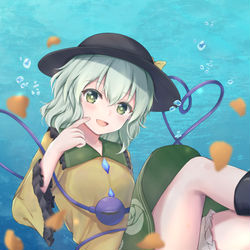 This is a pixiv picture whose title is こいし.