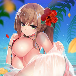 This is a pixiv picture whose title is トロピカルシーズン.
