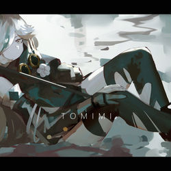 This is a pixiv picture whose title is tomimi.