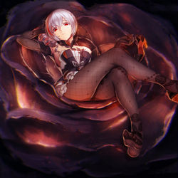 This is a pixiv picture whose title is 悪の花.