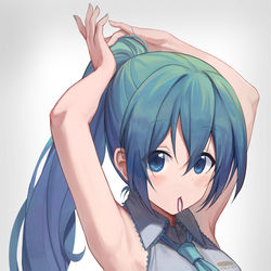This is a pixiv picture whose title is ポニーテール.