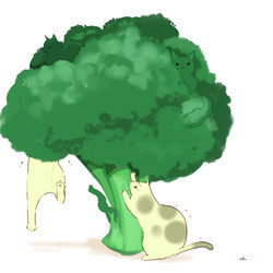This is a pixiv picture whose title is ブロッコリー.