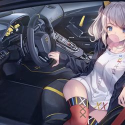 This is a pixiv picture whose title is 輝夜月.