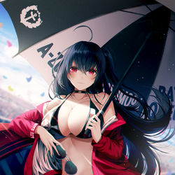 This is a pixiv picture whose title is 大鳳RQ.