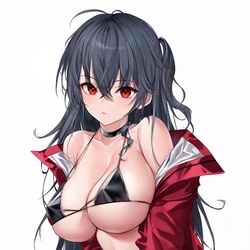 This is a pixiv picture whose title is 大鳳.