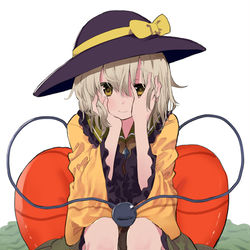 This is a pixiv picture whose title is こいし.