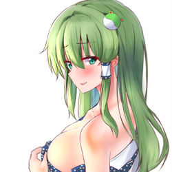 This is a pixiv picture whose title is 早苗さん落書き.