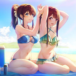 This is a pixiv picture whose title is 浜辺の二人.