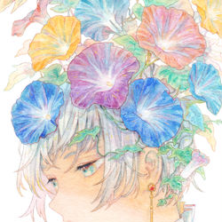 This is a pixiv picture whose title is 夏の朝.