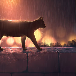 This is a pixiv picture whose title is ねこ.