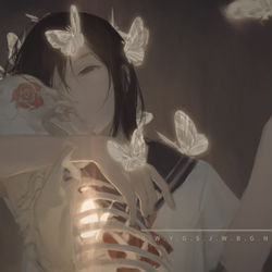 This is a pixiv picture whose title is 蝶戀花.